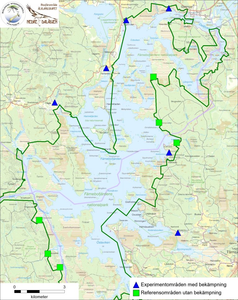 Map (2023)
